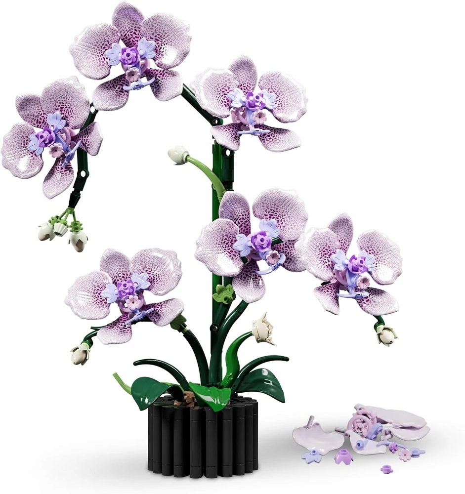 Blocks ORCHID ORCHID BONSAI GĖLĖS DIY DECORATION 619 EL TOBULA DOVANA