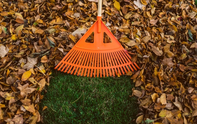 Bradas GRABIE PLASTIKOWE DO LIŚCI 22 ZĘBY OPRAWIONE KTCX22B