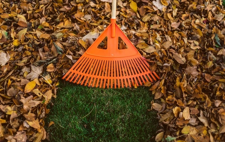 Bradas ventiliatorinis grėblys 24 dantukai 60 cm žolės ir lapų grėbimui KT-CX24B-M