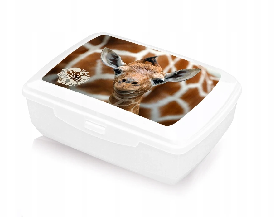 Branq POJEMNIK ŚNIADANIOWY ŚNIADANIÓWKA LUNCH BOX 1,3L