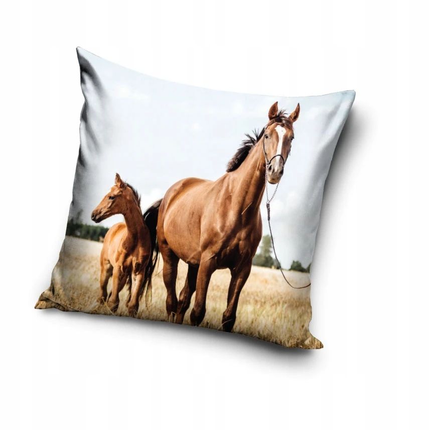 Carbotex Pliušinis dekoratyvinis pagalvės užvalkalas ARKLAI 40x40 cm VELVET