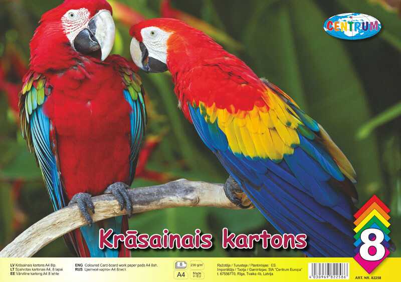 Centrum Spalvotas kartonas A4, 8 lapai