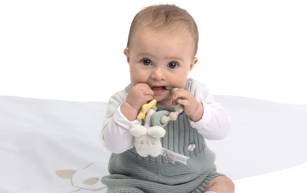 Chicco 184354 CUDDLY BUNNISH TEETHING TOY
