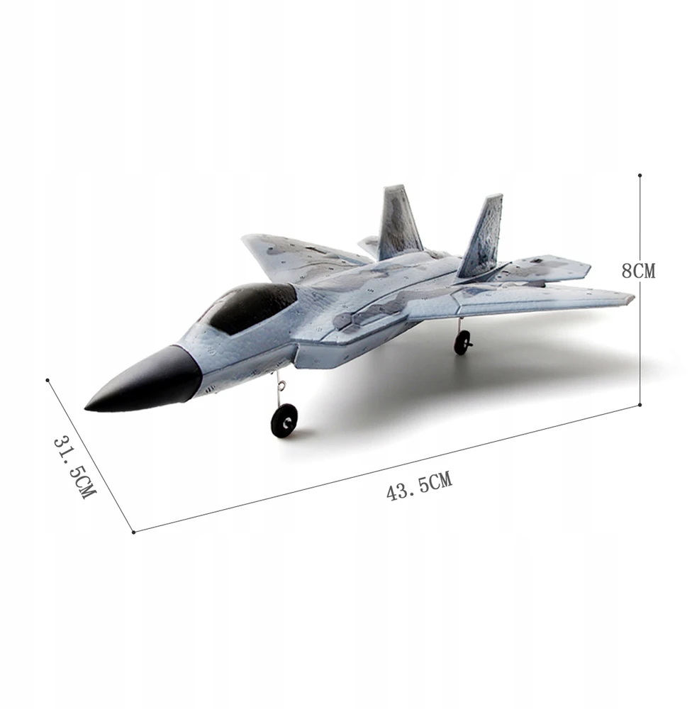 click4TOYS RC Airplane 2,4 GHz RC Plane Sklandantis lėktuvas F22 aiflystore AG