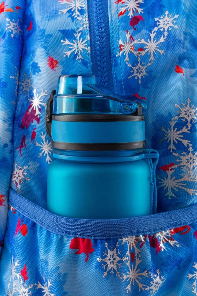 Patio Kuprinė CoolPack Joy S Frozen II 15"