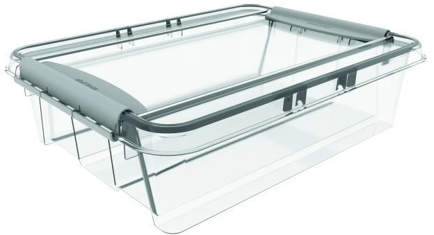 Plastikinė dėžė su dangčiu ir skyreliais Pro Box Plast Team 8L permatoma