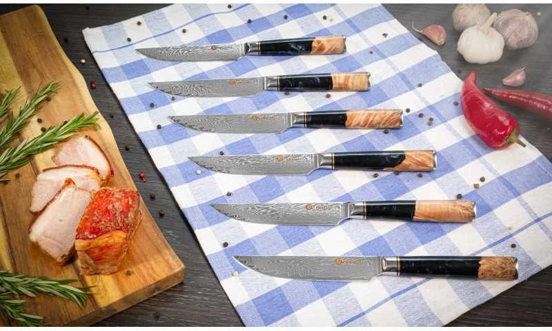 Damasko plieno peilių rinkinys kepsniams Kamazaki KZI110STK, 13 cm, 6 vnt.