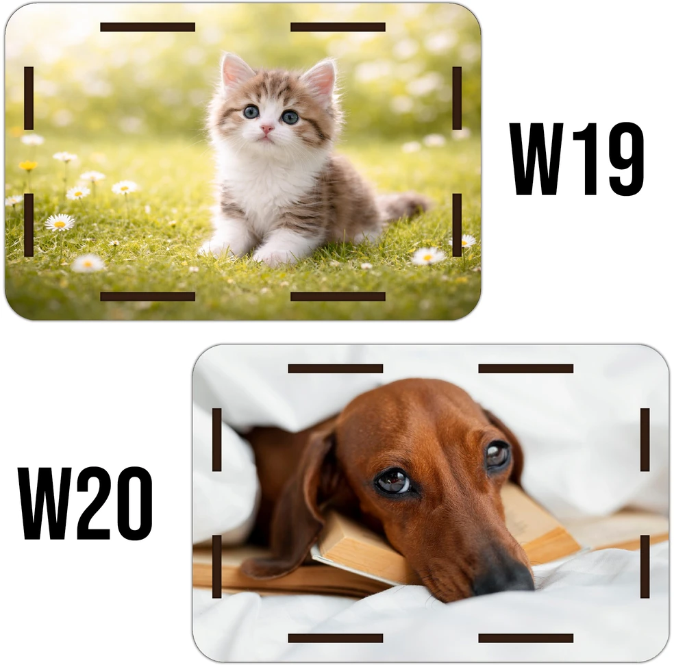 Decortrend PREZENT Skarbonka Wykreślana Wykreślanka Dzień chłopaka chłopca dziewczynki