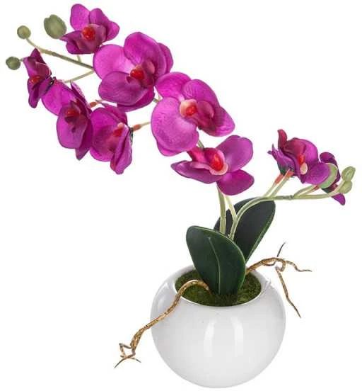 Dekoratyvinis augalas Orchidėja su vazonu 20x20x26 cm (mix) Atmosphera 155716