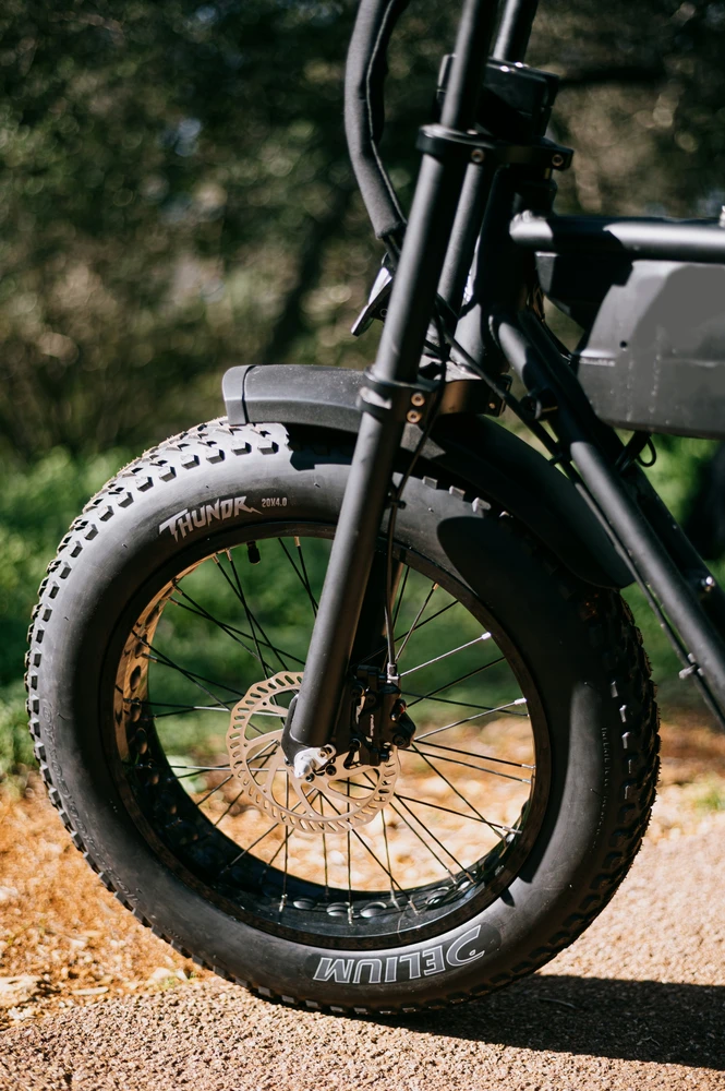 Deli Tire DELI dviračio padanga 20x4,00 SA-312 Thundr E-bike, Ecargo, Fatbike, sulankstoma