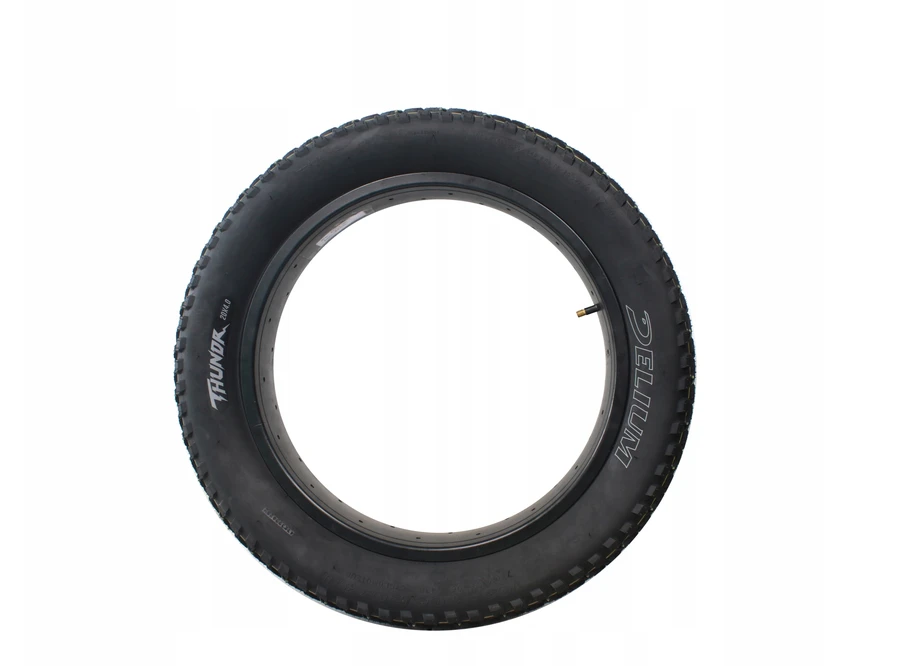 Deli Tire DELI dviračio padanga 20x4,00 SA-312 Thundr E-bike, Ecargo, Fatbike, sulankstoma