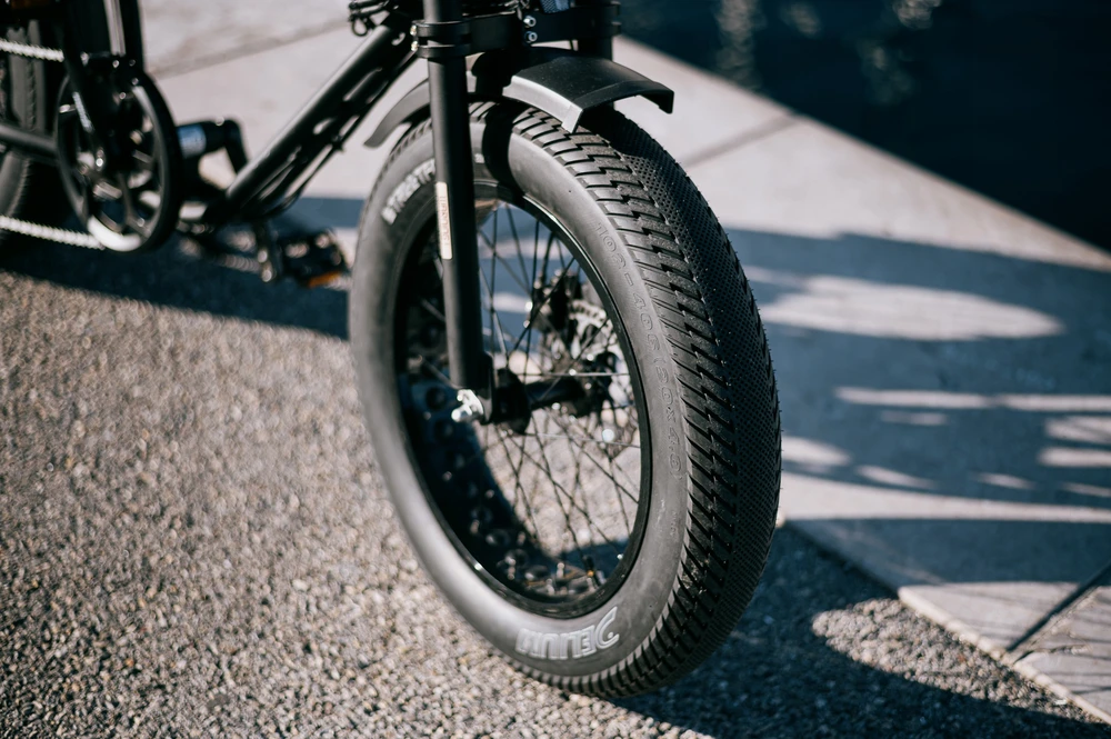 Deli Tire Dviračio padanga Deli Tyre 20", juoda