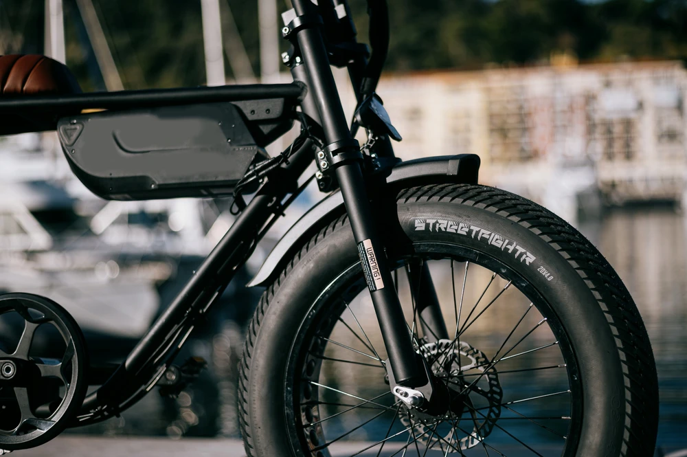 Deli Tire Dviračio padanga Deli Tyre 20", juoda
