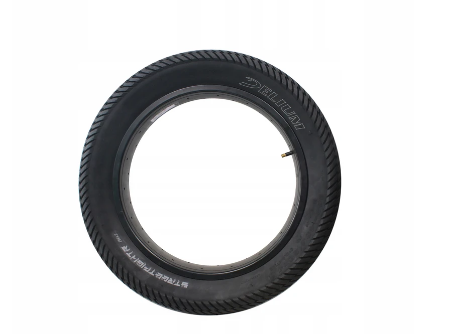 Deli Tire Dviračio padanga Deli Tyre 20", juoda