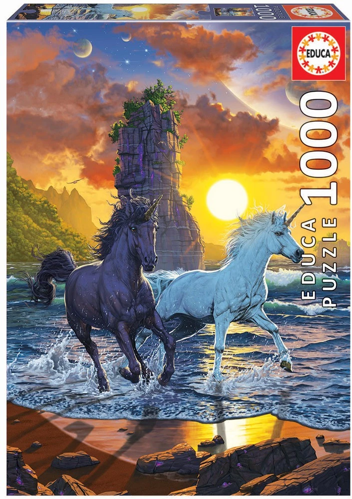 Educa dėlionė 1000 vnt. - Saulės sitema
