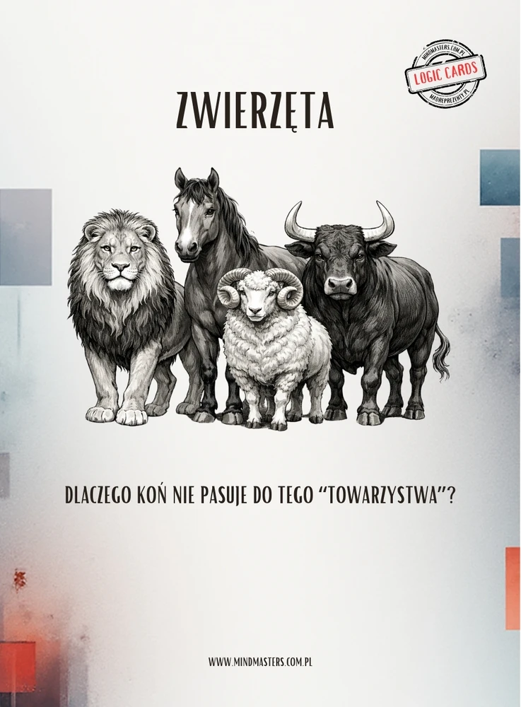 Dėlionės dovanų idėja vaikui paaugliui suaugusiam tėčiui LOGIKOS KORTELĖS