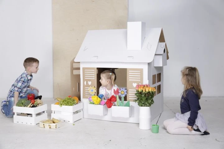 DIDELIS KARTONO NAMAS SURINKTI IR DAŽYTI TEKTORADO FLORIST