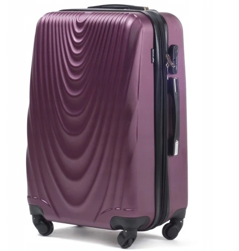 Didelis lagaminas Wings 304