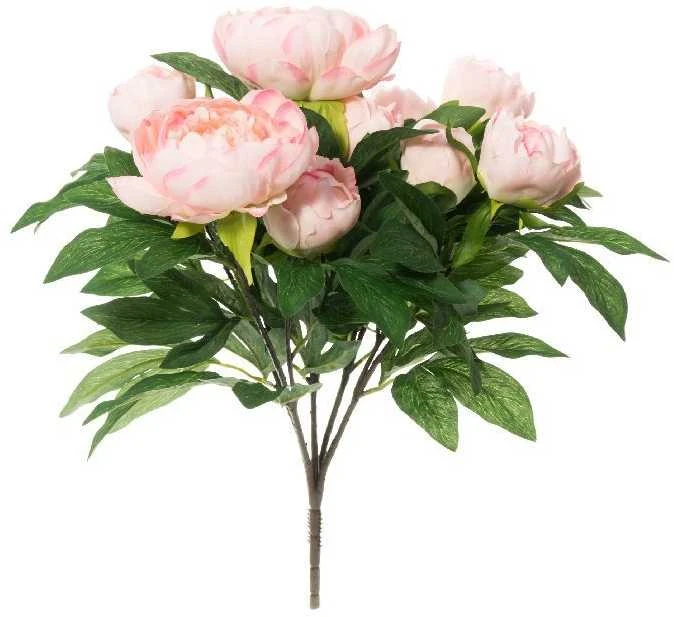 None Dirbtinė gėlė PEONY, 3 spalvos, 17 cm