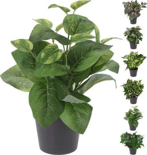 ProGarden Dirbtinis augalas BUXUS BALL, žalios sp., 18 cm
