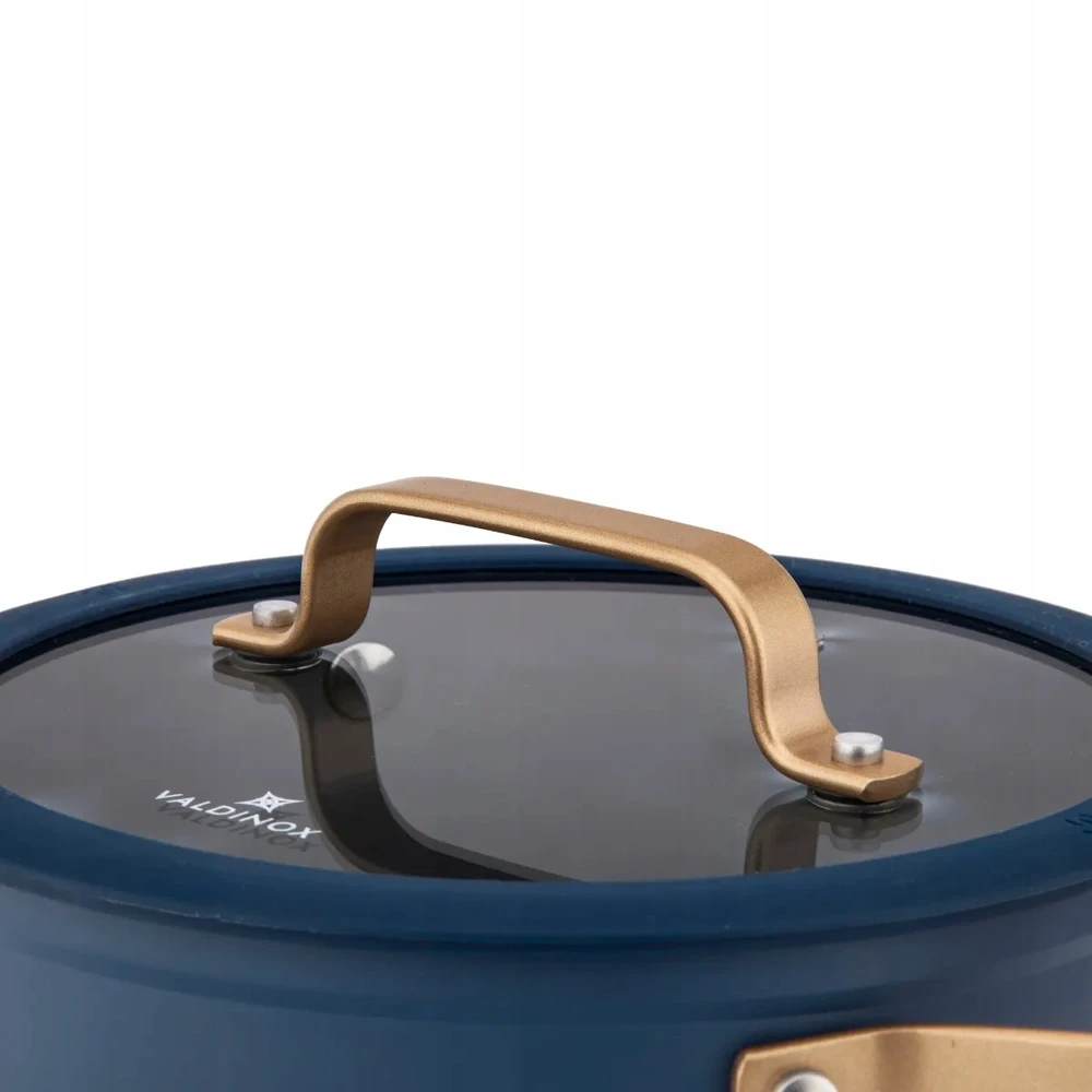 Dujų indukcinis puodas su nepridegančiu dangčiu Valdinox Giovanni 2,6 l