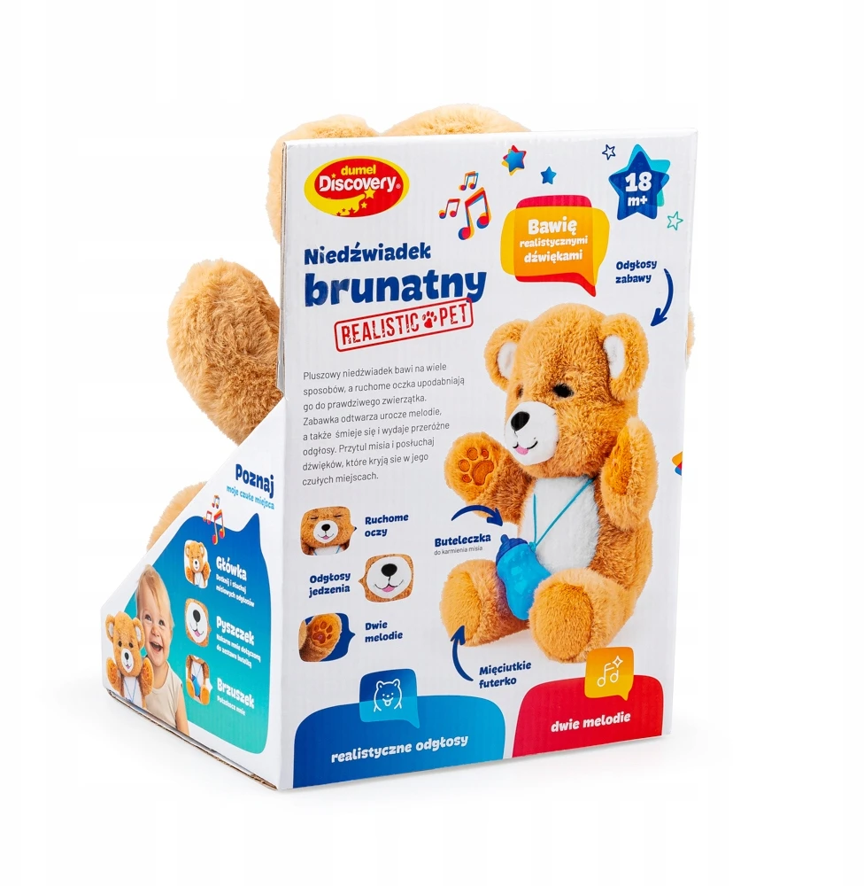 Dumel Niedźwiadek brunatny