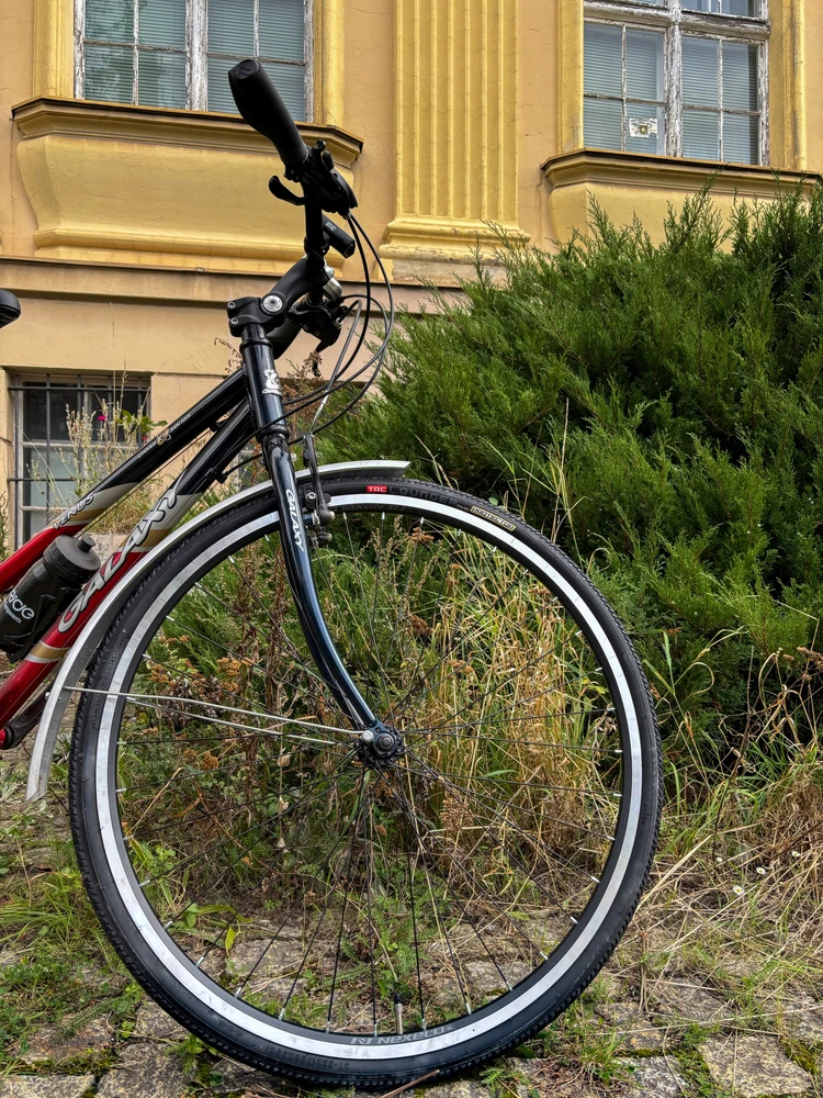 Dviračio padanga 28 colių TRC 700x35C 37-622, skirta dviračiui NUO PUNKTURIJOS Įdėklas