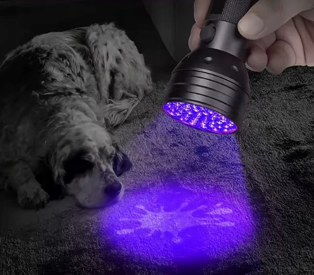 Efox TAKTINIS BLYKTINĖS ŽIBINTAS UV 51 LED, NAUDOJANT GINTARŲ GYVŪNINIŲ Šlapimo DĖMIŲ BANKNOTUS 395 nm
