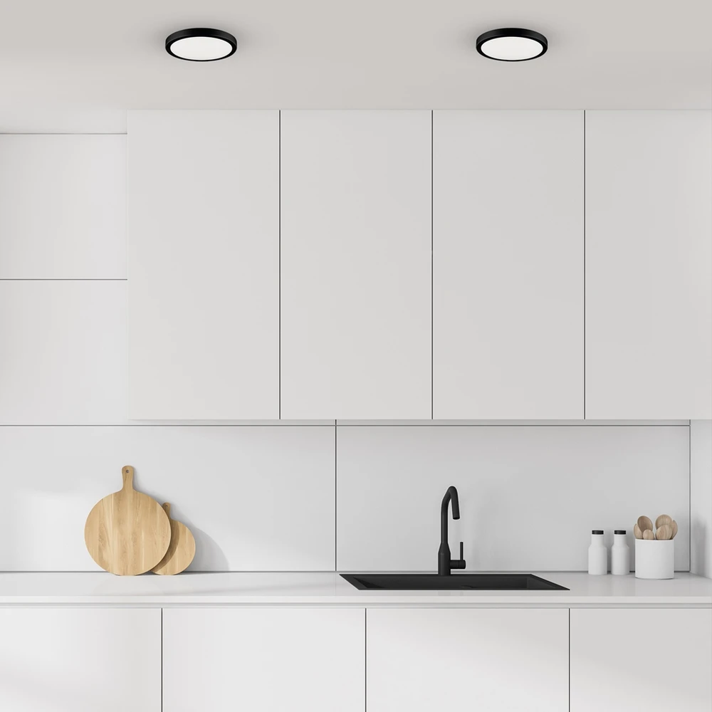 Lubinis šviestuvas Eko Light Plafon Vera 24W 4000K Juodas IP65