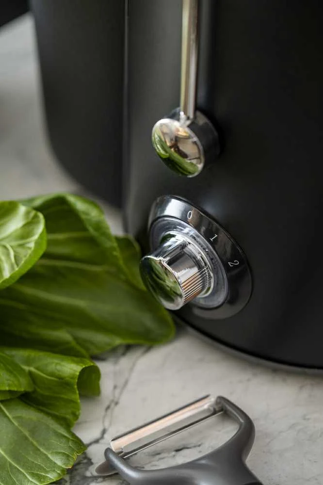 Sulčiaspaudė Adler | Juicer | AD 4127 | Type Juicer maker | Matt Juodas | 1000 W | Greičių skaičius 2