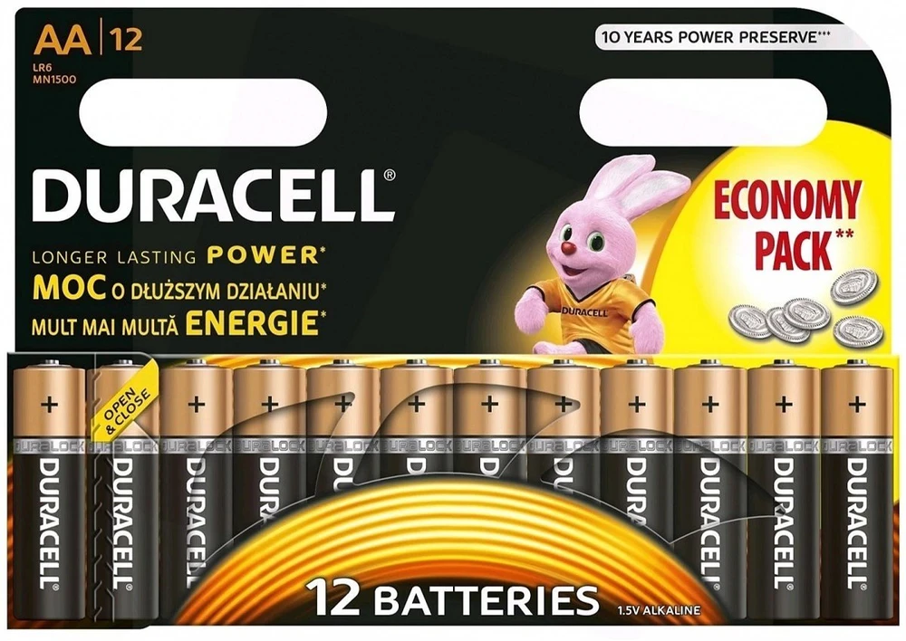 Baterijos DURACELL 2450, 1vnt