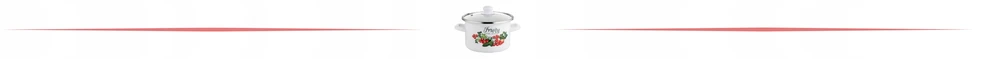 Emalia Pleszew Emaliuotas puodas 20cm 3,75L ENAMEL PLESZEW Kalina Indukcinės Tradicinės Dujos