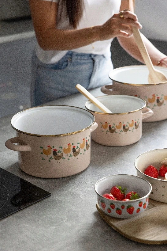 Emaliuotas puodas Emalia Pleszew Koko 18 cm 2,65L 2 klasės indukcinės dujos