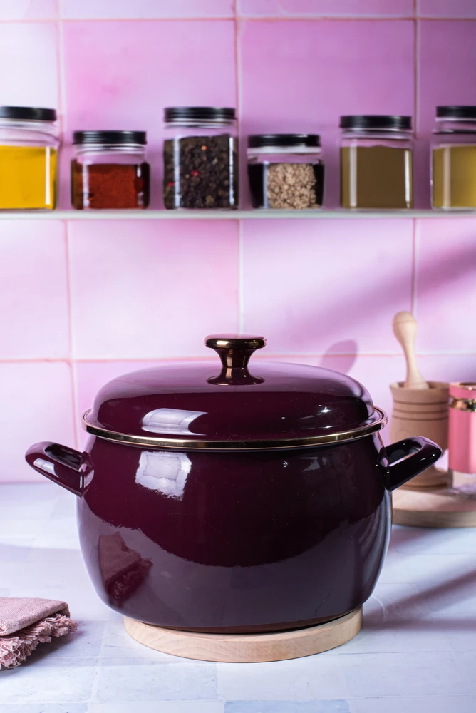 Emaliuotas puodas su dangčiu 24cm 7,5L indukcinės dujos Metalac Bordo Princ