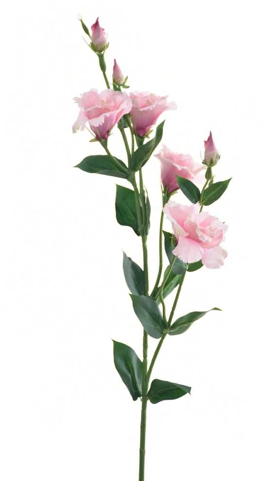 Emivela Dirbtinė eustoma 85cm balta