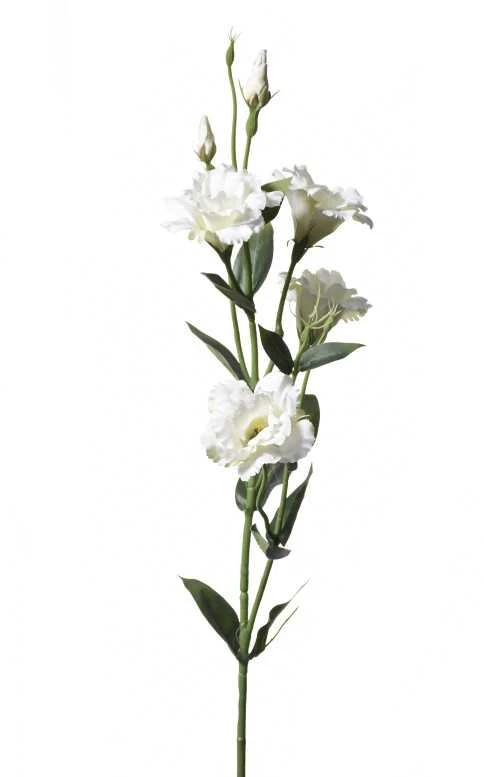 Emivela Dirbtinė eustoma 85cm balta