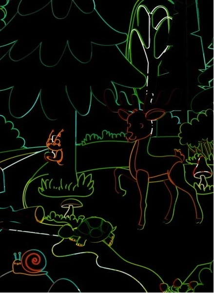 Fandy Rainbow Scratch Board Gyvūnai 9 Lakštai Stylus Scratch Board GYVŪNŲ MAGIC