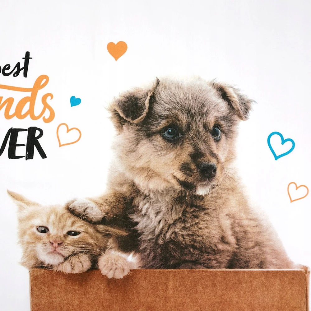 Faro Vaikiškas patalynės komplektas Best Friends, 140x200, 2 dalių