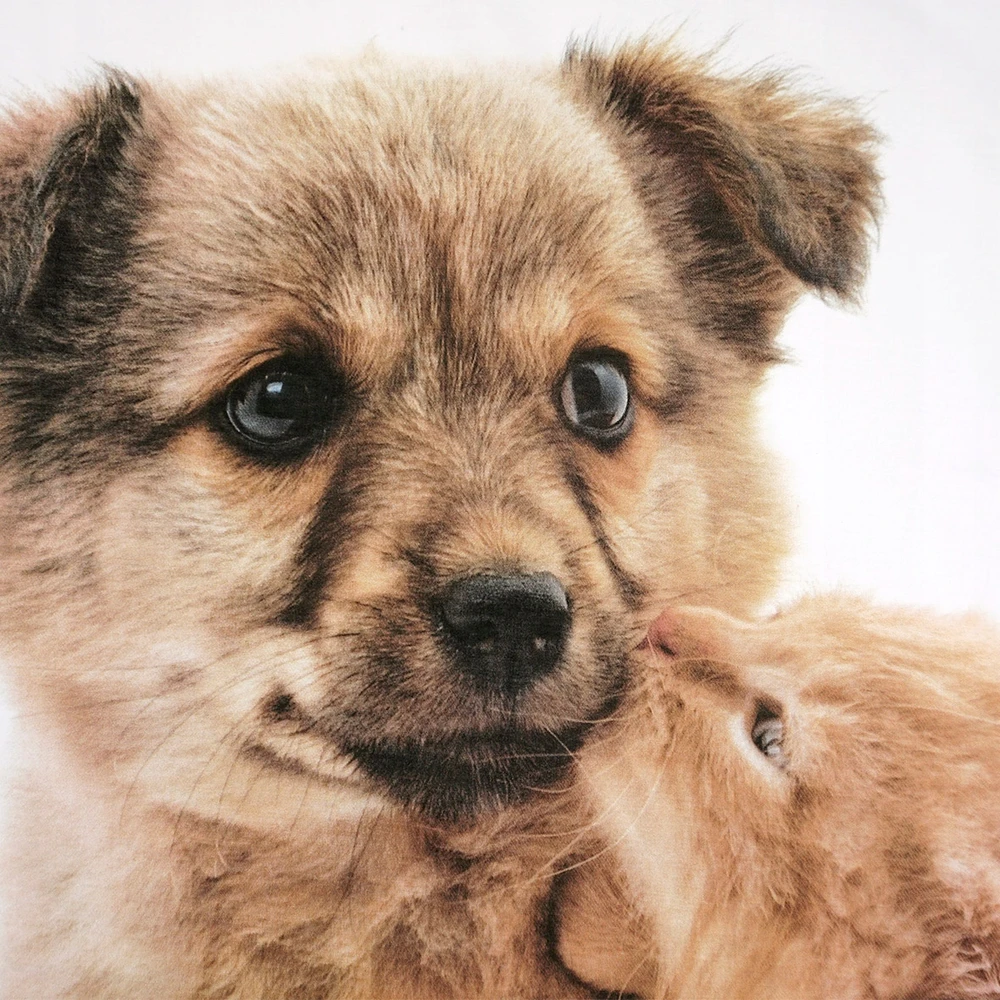 Faro Vaikiškas patalynės komplektas Best Friends, 140x200, 2 dalių