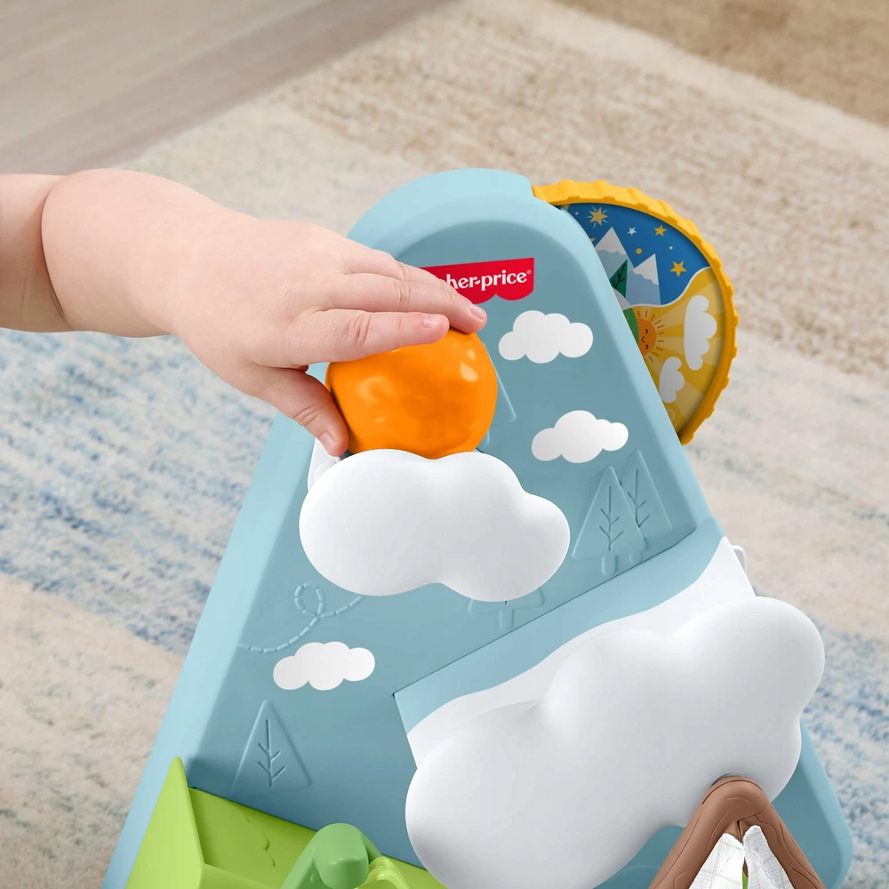 FISHER PRICE MIŠKO DRAUGAI Kalnas su kamuoliukais, aktyvuojantis žaislas +9m