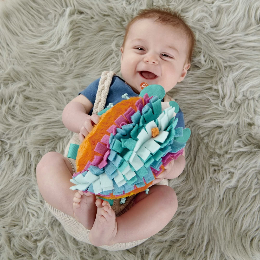 Fisher Price pliušinis ežiukas