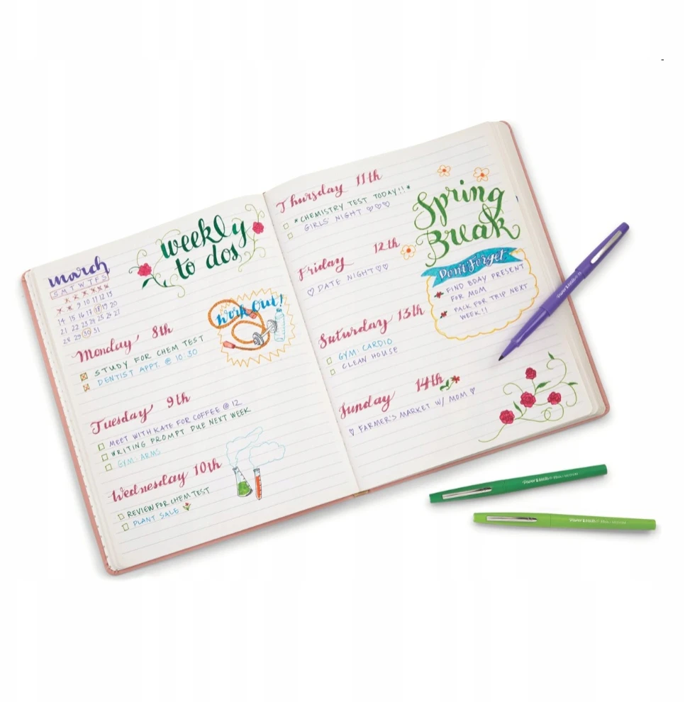 Flomasteriai PaperMate Flair Pastel 12, 0,7mm