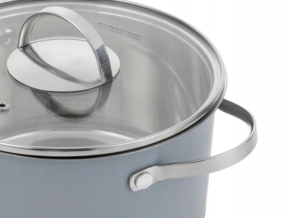 Florina Pepe puodas 18 cm 2,3L nerūdijančio plieno su dangteliu dujų indukcija