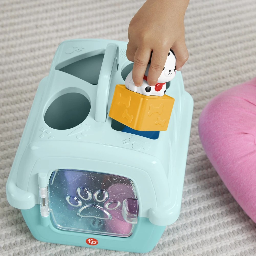 Mattel FISHER-PRICE formelių rūšiuoklė – Naminiai gyvūnėliai (HTW93)