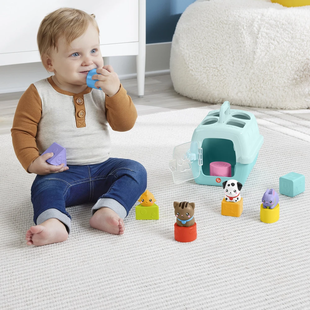 Mattel FISHER-PRICE formelių rūšiuoklė – Naminiai gyvūnėliai (HTW93)