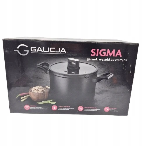 Galicja SIGMA puodas, aukštas, 22cm, 5,5L