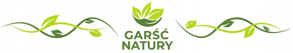 Garsc Natury VISOS ŠALČIUOSE DŽIOVINTOS AVĖS 100 g Džiovintos Avietės BE CUKRAUS 0,1kg natūralios