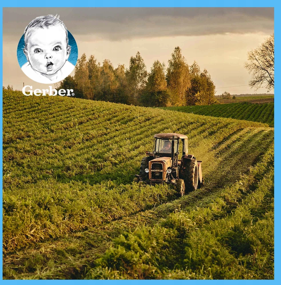 Gerber Junior Delicate žiedinių kopūstų ir brokolių sriuba 1-3 metai 250 g