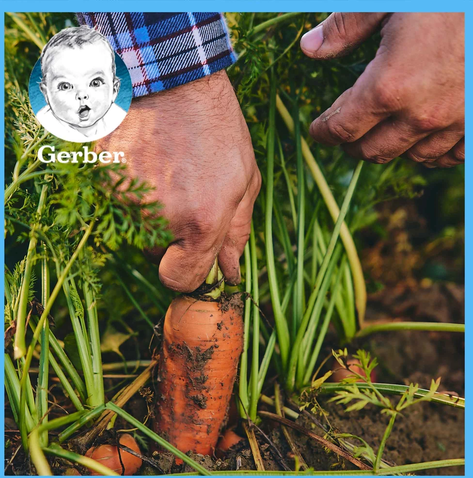 Gerber Junior Delicate žiedinių kopūstų ir brokolių sriuba 1-3 metai 250 g