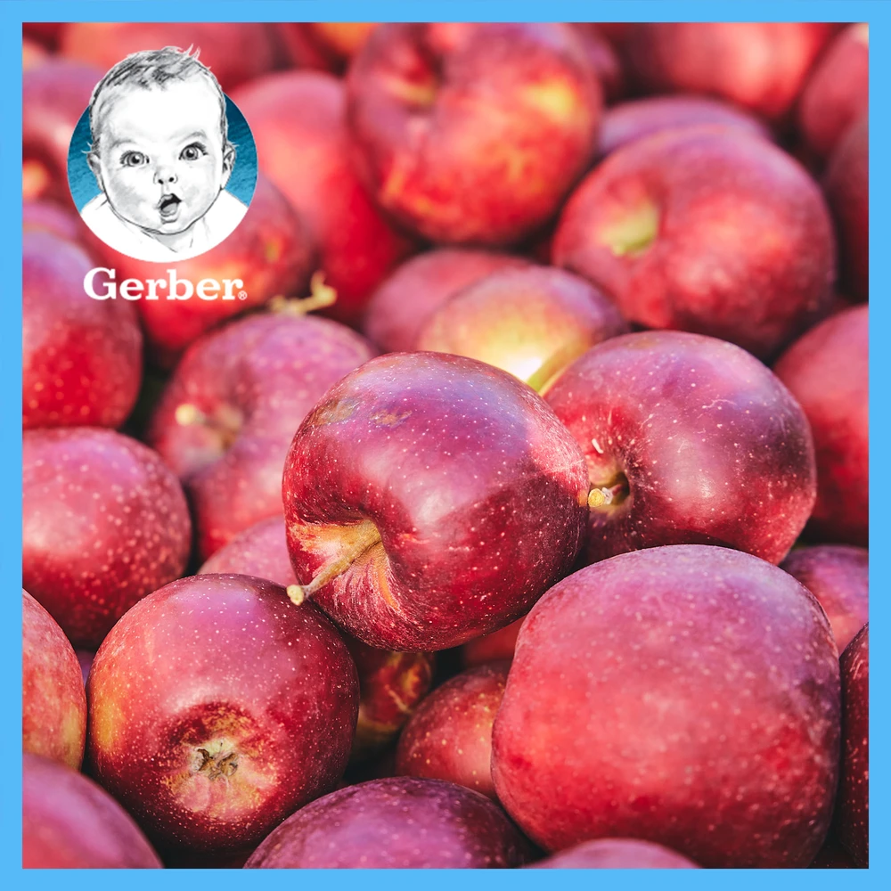 Gerber Owsianka grūdų desertas su mangais ir bananais po 6 mėnesių 110 g